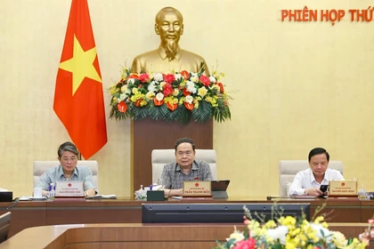 El presidente de la Asamblea Nacional de Vietnam, Tran Thanh Man, interviene en la reunión (Foto: VNA)