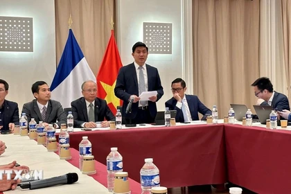 La Red de profesionales nucleares vietnamitas se lanzó oficialmente en la Embajada de Vietnam en París, Francia (Foto: VNA)