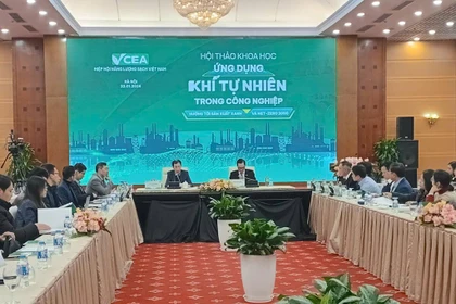 Panorama del taller (Foto: VNA)