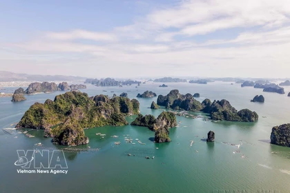 La Bahía de Ha Long es señalada como un ícono turístico mundial, con sus aguas color esmeralda, miles de formaciones kársticas y un ecosistema de gran valor ecológico (Foto: VNA)