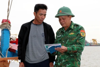 Provincia de Ninh Binh refuerza la lucha contra la pesca ilegal