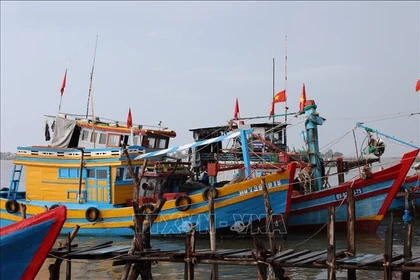 Barcos pesqueros en Ciudad Ho Chi Minh (Foto: VNA)
