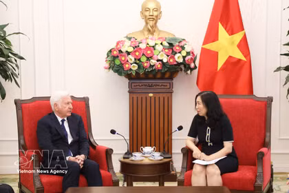 La vicecanciller Le Thi Thu Hang sostiene un encuentro con el cónsul honorario de Vietnam en Irlanda, Patrick McKillen. Foto: VNA