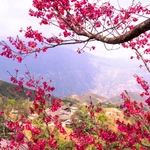 Viaje de primavera a comienzos de año – Destinos imperdibles