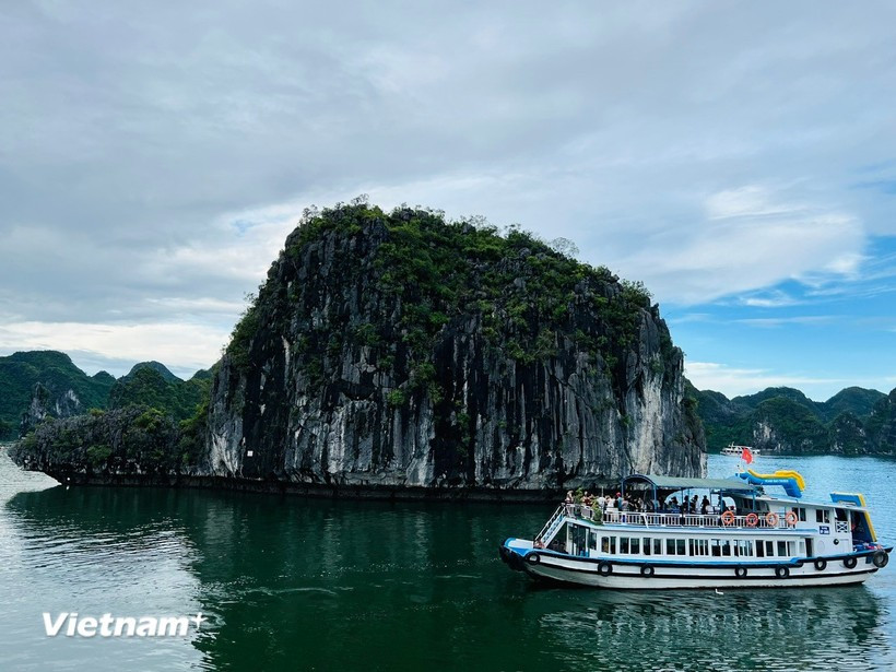 Zona marítima de Quang Ninh antes del tifón. (Fuente: VNA)