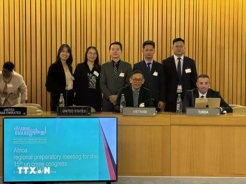 La delegación vietnamita asiste a la Reunión Preparatoria Regional Africana para el 15.º Congreso de las Naciones Unidas sobre Prevención del Delito y Justicia Penal. (Foto: VNA)