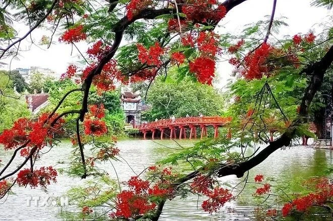 Un rincón del lago Hoan Kiem, Hanoi. (Foto: VNA)