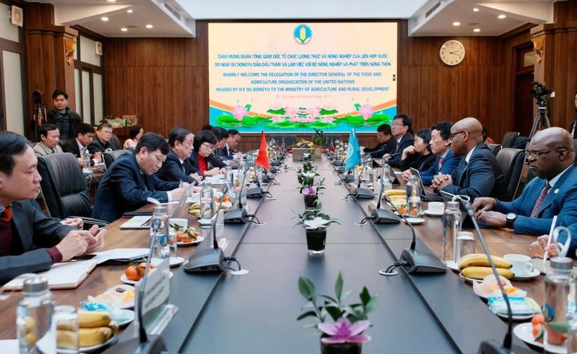 Foto 1: Reunión entre el ministro de Agricultura y Desarrollo Rural, Le Minh Hoan, y una delegación de alto nivel de la FAO (Foto cortesía de la Cartera)