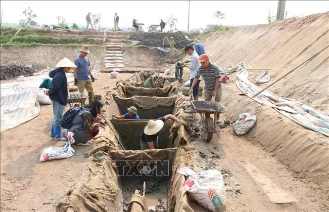 Cada barco tiene 16 metros de largo y entre 1,95 y 2 metros de ancho: dimensiones imponentes que lo convierten en un tipo único en la historia de la arqueología vietnamita. (Foto: VNA)