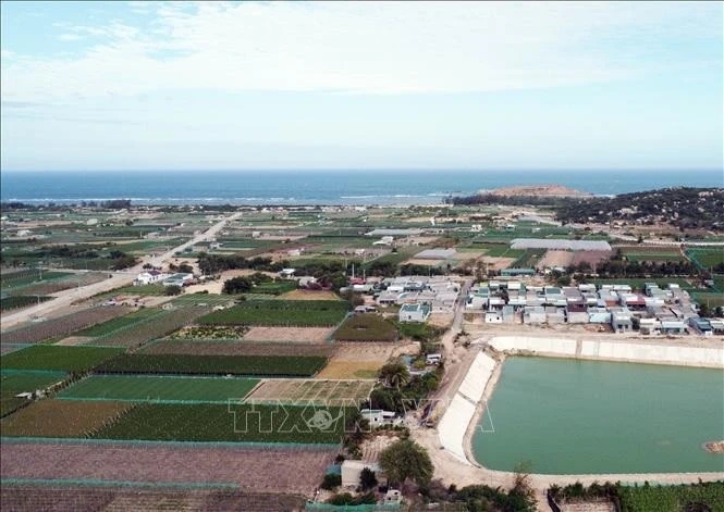 El Instituto de Energía Atómica de Vietnam es pionero en apoyar la formación de un equipo de expertos en el desarrollo de la energía nuclear. (Fuente: VNA)
