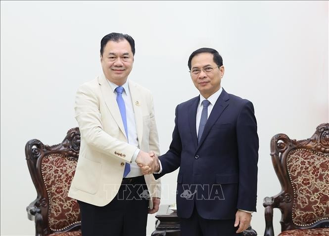 El viceprimer ministro vietnamita Bui Thanh Son recibe a Kounlaphanh Vongnathy, vicepresidente del Grupo Phongsupthavy. (Foto: VNA)