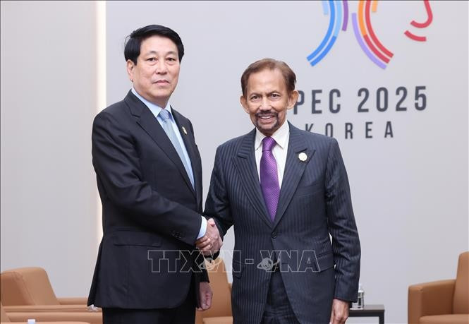 El presidente de Vietnam, Luong Cuong, y el sultán de Brunéi, Haji Hassanal Bolkiah en el marco del APEC. (Fuente: VNA)