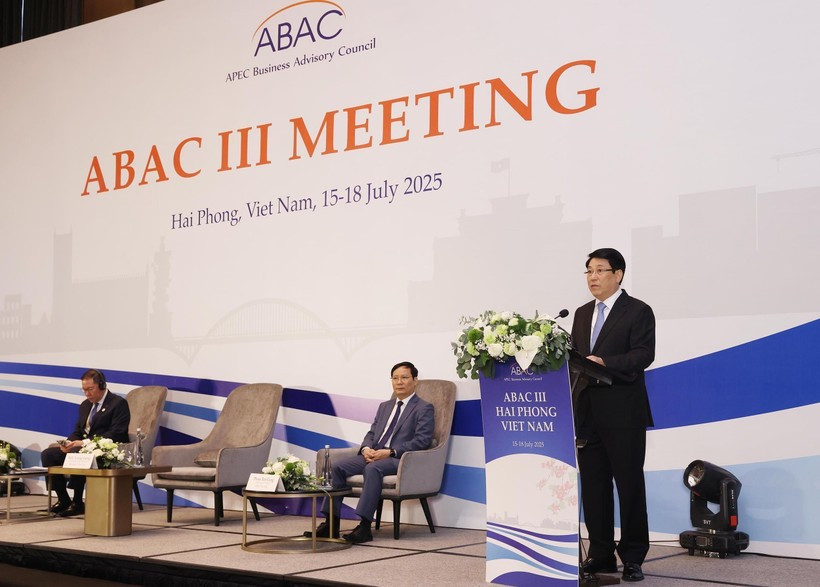 El presidente Luong Cuong interviene en la tercera reunión del Consejo Asesor Empresarial de la APEC. (Foto: VNA)