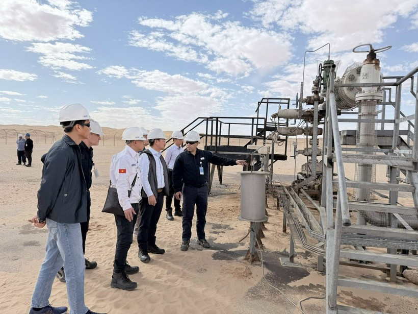 La delegación del Grupo Nacional de Industria y Energía de Vietnam visita el área de cabeza de pozo BSR-25, el principal pozo de explotación del proyecto petrolero Bir Seba (Foto: petrotimes.vn)
