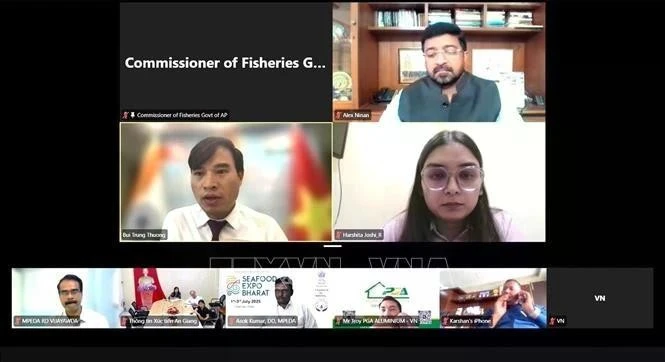 Participantes en el seminario en línea (Foto de captura de pantalla: VNA)