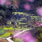 La belleza de la Meseta rocosa de Dong Van. (Foto: VNA)