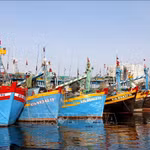 Provincia de Lam Dong intensifica la lucha contra la pesca ilegal