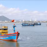 Khanh Hoa intensifica el control pesquero, la trazabilidad y el monitoreo de buques para acelerar el levantamiento de la “tarjeta amarilla” de la CE. (Foto: VNA)