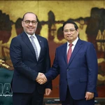 Primer ministro de Vietnam promueve una mayor cooperación energética con EAU y Qatar