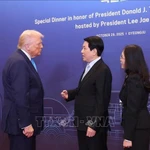 El Presidente de Vietnam, Luong Cuong, se reunió con su homólogo de Estados Unidos, Donald Trump. (Foto: VNA)