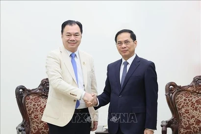 El viceprimer ministro vietnamita Bui Thanh Son recibe a Kounlaphanh Vongnathy, vicepresidente del Grupo Phongsupthavy. (Foto: VNA)