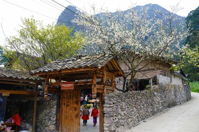 Belleza de Lung Cu avanza hacia el desarrollo del turismo verde en el Norte de Vietnam