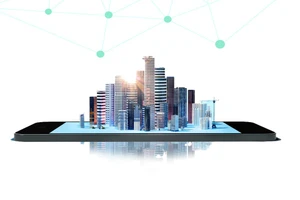 Programa de Desarrollo del Gobierno Digital