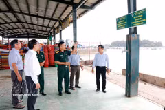 Un equipo de inspección intersectorial del Ministerio de Defensa revisa las labores de comunicación y sensibilización para prevenir la pesca ilegal, no declarada y no reglamentada (IUU) en el puerto pesquero de La Gi, ubicado en el barrio de Phuoc Hoi. (Fuente: VNA)