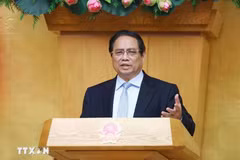 El primer ministro vietnamita, Pham Minh Chinh, interviene en la reunión. (Fuente: VNA)