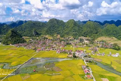 Aldeas de turismo comunitario: experiencias sostenibles en plena naturaleza de Vietnam