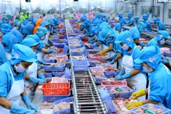 Exportaciones de productos del mar alcanzan la meta de 10 mil millones de dólares para 2024