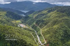 Despiertan potencial económico de zonas forestales y montañosas en Da Nang