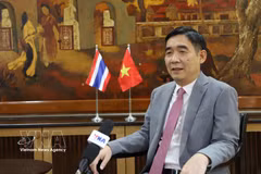El embajador vietnamita en Tailandia, Pham Viet Hung. (Fuente: VNA)