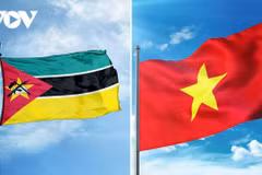 Promueven la amistad multifacética entre Vietnam y Mozambique