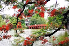 Un rincón del lago Hoan Kiem, Hanoi. (Foto: VNA)