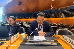 El embajador Mai Phan Dung, representante permanente de Vietnam ante las Naciones Unidas, la Organización Mundial del Comercio (OMC) y otras organizaciones internacionales en Ginebra, interviene en la octava Revisión de la Política Comercial de la OMC sobre la India. (Foto: VNA)
