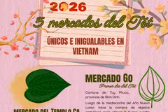 Cinco mercados de Tet “únicos e irrepetibles” de los vietnamitas