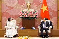 El presidente de la Asamblea Nacional, Tran Thanh Man, recibió en visita de cortesía a la embajadora de Mongolia en Vietnam, Ganbaatar Hulan. (Foto: VNA)