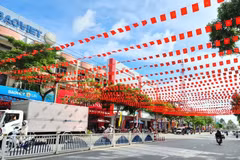 Un tramo de la calle Nguyen Hue, en el barrio de Cao Lanh, provincia de Dong Thap, decorado para celebrar el XIV Congreso Nacional del Partido. (Foto: dongthap.gov.vn)