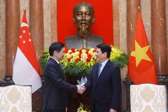 El presidente vietnamita Luong Cuong (derecha) se reunió con el primer ministro singapurense, Lawrence Wong. (Fuente: VNA)