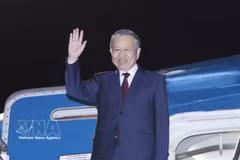 El secretario general del Partido Comunista y presidente de Vietnam, To Lam, partió de Auckland la noche del 13 de agosto (hora local), tras concluir su visita de Estado a Nueva Zelanda. (Foto: VNA)