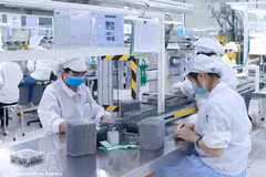 Producción de componentes electrónicos en Star Engineers Vietnam Co., Ltd., en el Parque Industrial Binh Xuyen I, provincia de Phu Tho (Foto: VNA)