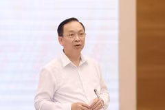 El vicegobernador del Banco Estatal de Vietnam, Dao Minh Tu (Foto: Vietnam+)
