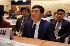 El auditor general adjunto Doan Anh Tho, en el evento. (Fuente: VNA)