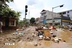 La ciudad de Yen Bai, en la provincia septentrional de Yen Bai, se ha visto gravemente afectada por el tifón Yagi. (Foto: VNA)