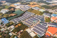 Espacios verdes en un parque industrial en el distrito de Bac Tan Uyen de la provincia de Binh Duong (Foto: VNA)