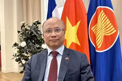 El embajador vietnamita en Francia, Dinh Toan Thang (Fuente: VNA)