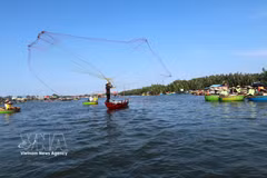 Aldea cocotera de Cam Thanh cautiva a los visitantes con la experiencia de los botes cesta