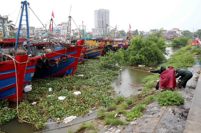 Los barcos y balsas se han trasladado a lugares seguros (Fuente: VNA) vna-potal-pho-thu-tuong-tran-hong-ha-kiem-tra-cong-tac-phong-chong-bao-tai-hung-yen-8162111.jpg