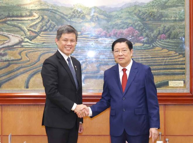 El miembro del Buró Político, secretario del Comité Central del Partido Comunista de Vietnam y jefe de su Comisión de Asuntos Internos, Phan Dinh Trac (derecha) y Chan Chun Sing, vicesecretario general del Partido de Acción Popular de Singapur (Fuente: VNA) vna-potal-truong-ban-noi-chinh-trung-uong-phan-dinh-trac-hoi-dam-voi-pho-tong-thu-ky-dang-hanh-dong-nhan-dan-singapore-pap-8161212.jpg